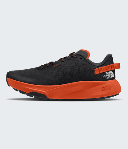 The North Face Best Price | Men’s Altamesa 300 Shoes