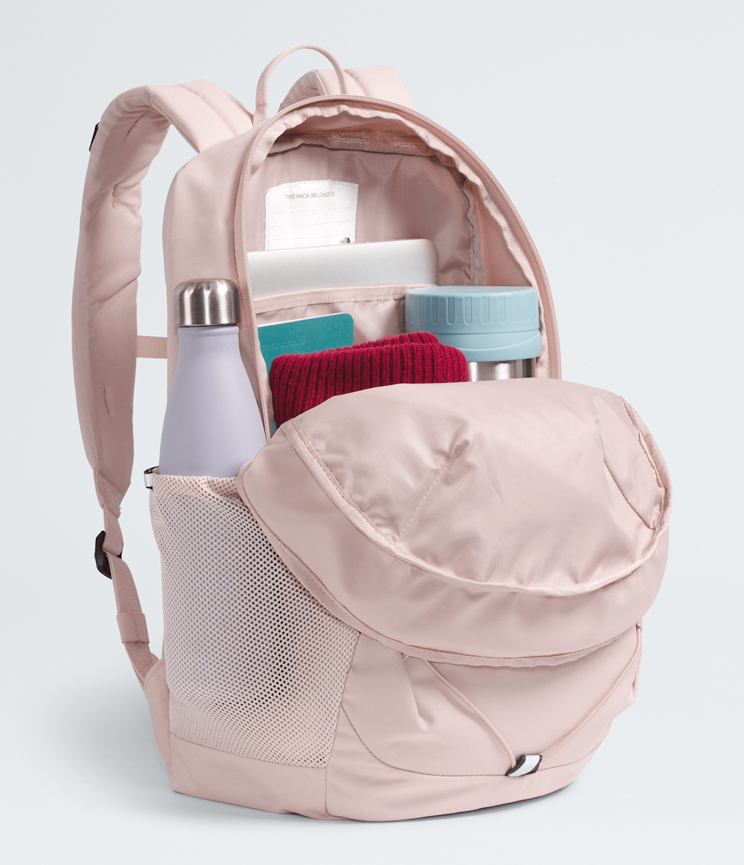 The North Face Everyday | Youth Court Jester Backpack