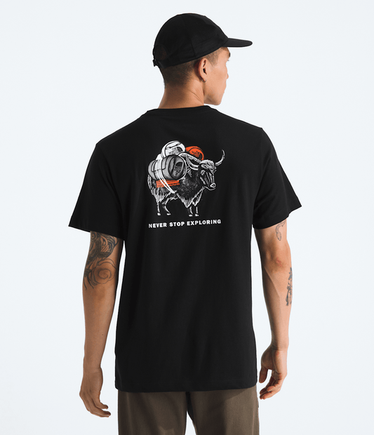 The North Face Essential | Men’s Evolution Vault Tri Pack Short-Sleeve Tee—Graphic