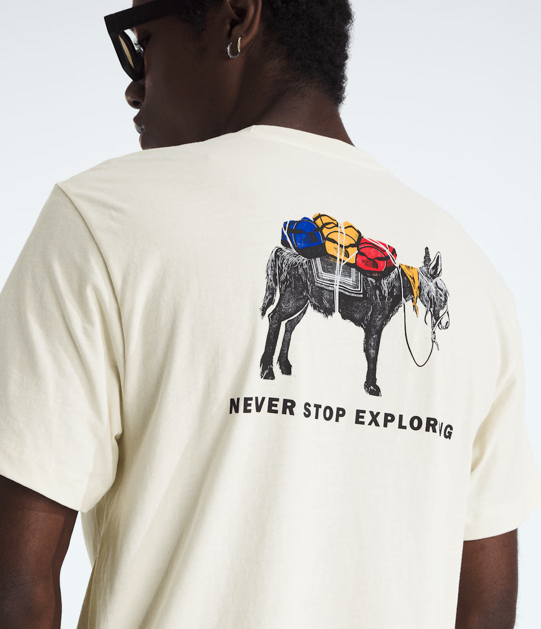 The North Face Best Price | Men’s Evolution Pack Short-Sleeve Tee—Graphic