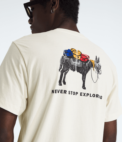The North Face Best Price | Men’s Evolution Pack Short-Sleeve Tee—Graphic