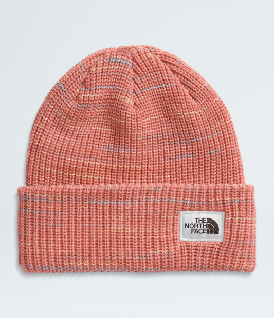 The North Face Recommended | Salty Bae Lined Beanie