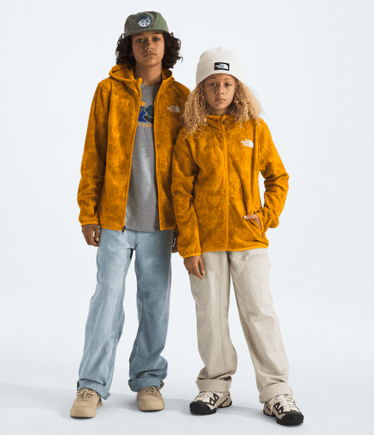 The North Face Signature | Boys’ & Girls’ Glacier Full-Zip Hoodie—Print