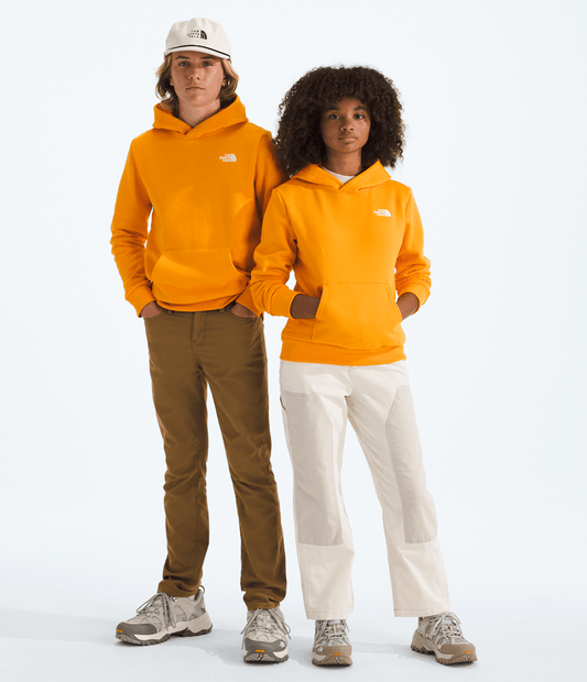 The North Face Signature | Boys’ & Girls’ Evolution Simple Dome Pullover Hoodie