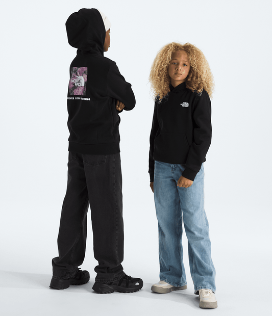 The North Face Everyday | Boys’ & Girls’ Evolution Box NSE Pullover Hoodie—Graphic