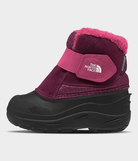 The North Face Discount | Toddler Alpenglow II Boots
